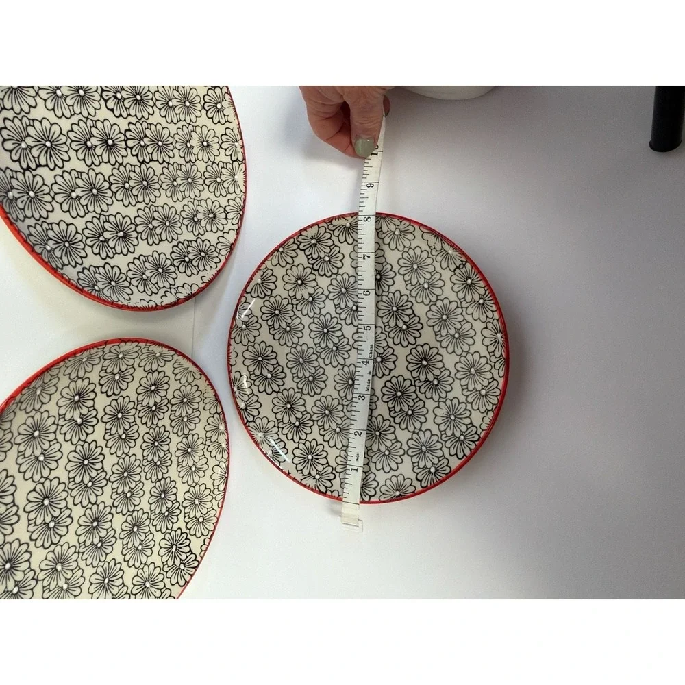 Yokohama Studio Hand Painted Daisy Floral Pattern Plates with Red Rim - Set of 3